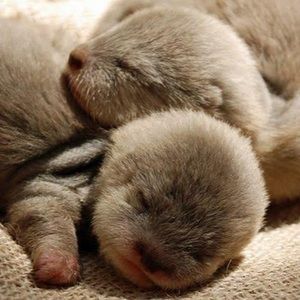 Meet your Posher, Esperanza